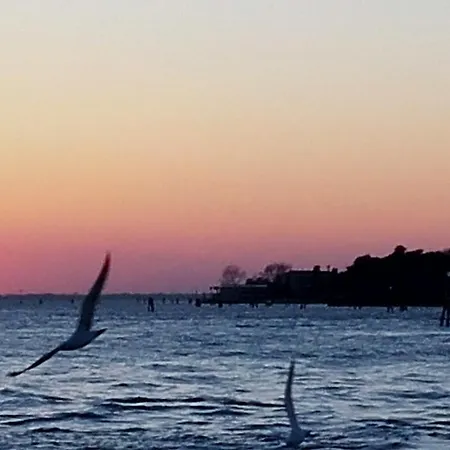 Veneziacentopercento Ruga *